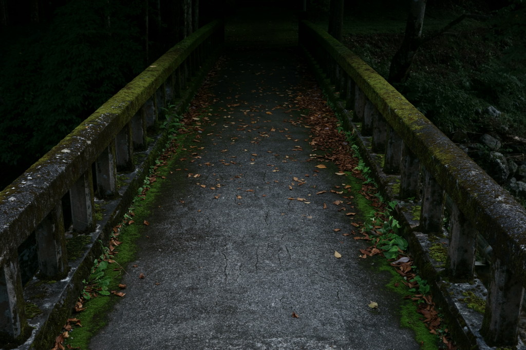 戻れな橋 Ⅱ