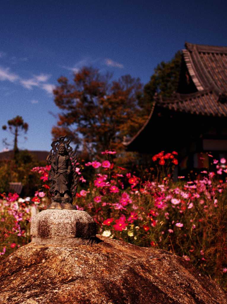 般若寺