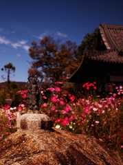般若寺