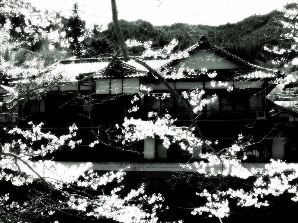 桜館
