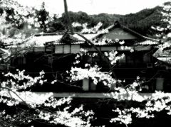 桜館