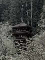 眺塔図　～長谷寺～　