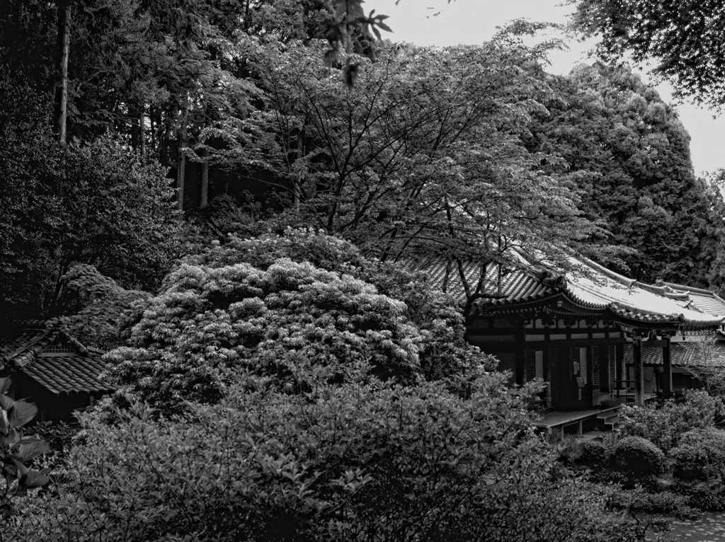 本堂　～岩船寺～