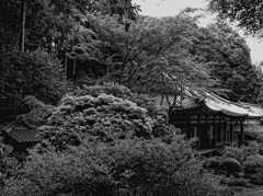 本堂　～岩船寺～