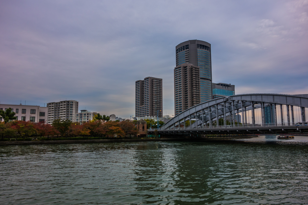 桜宮巡写録 Ⅹ