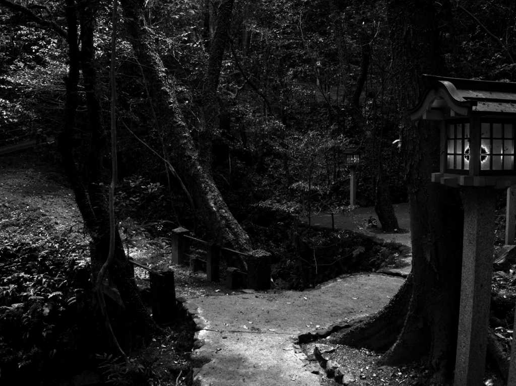 さらに奥へと ～霊山寺～