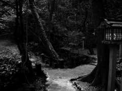 さらに奥へと ～霊山寺～