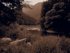 川風景 ～其の弐～