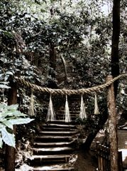 禁足の地への入り口　～狭井神社～