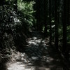 吉野の懐へ踏み入る