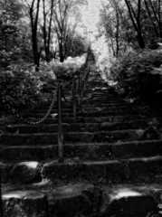 泣きたくなるほど、遥か ～二上山ふるさと公園～