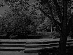 公園の片隅で ～二上山ふるさと公園～