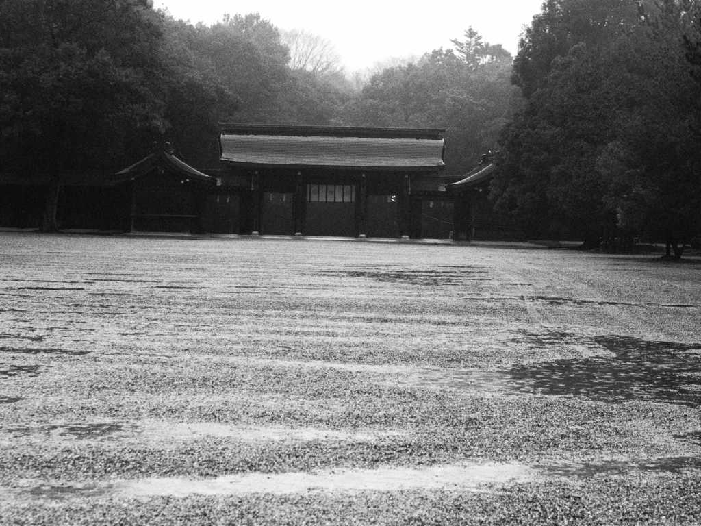 雨の橿原神宮 Ⅲ