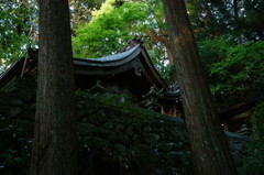飛鳥川上坐宇須多伎比売命神社 Ⅲ