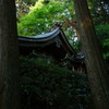 飛鳥川上坐宇須多伎比売命神社 Ⅲ