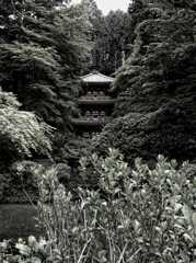 三重塔　～岩船寺～