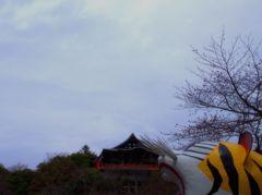 共に眺めたるは、本堂なり。　～朝護孫子寺～