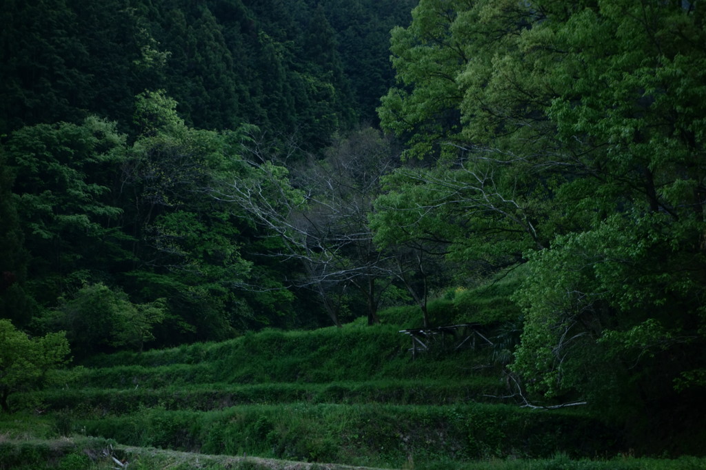 奥明日香風景図