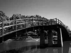 太鼓橋 ～二上山ふるさと公園～