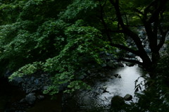 奥明日香水流図 Ⅱ