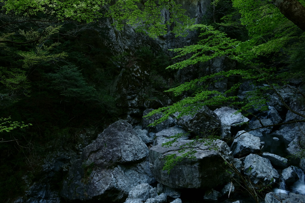 みたらい春景図 Ⅳ