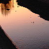 SUNSET RIVER