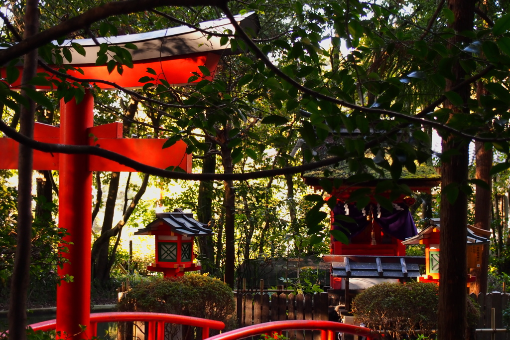木陰社　～狭井神社　鎮女池～