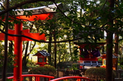 木陰社　～狭井神社　鎮女池～