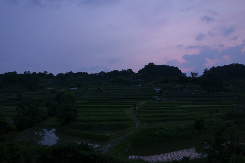 稲淵の棚田 Ⅲ