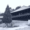 二月堂