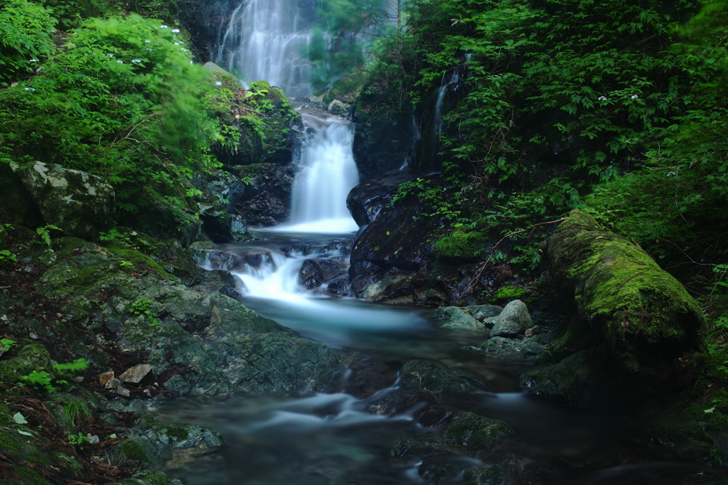 御杖村渓流図 Ⅱ