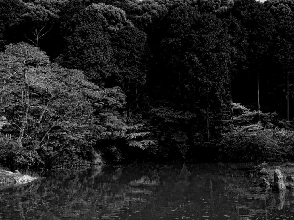 浄土の庭園　其の弐　～浄瑠璃寺～