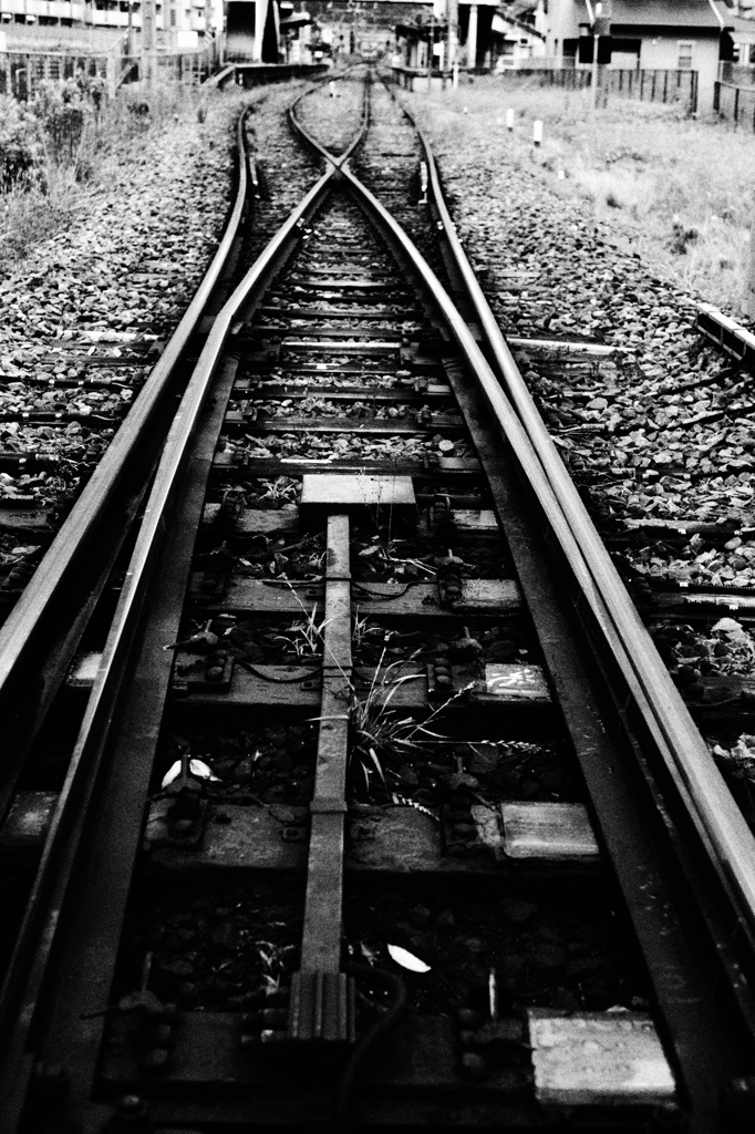 Country Line Ⅱ