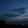 若草夜光図