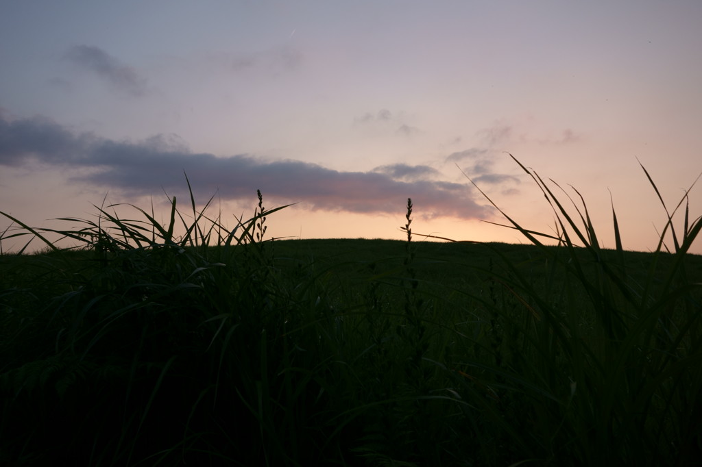 曽爾高原 ~夏 Ⅲ~