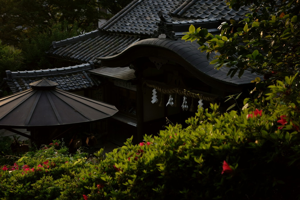 飛鳥坐神社 Ⅶ