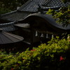 飛鳥坐神社 Ⅶ