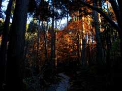 三千院回遊録 Ⅳ