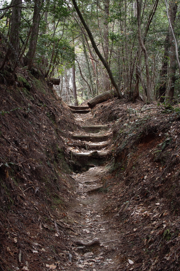 上千本への急峻なる道