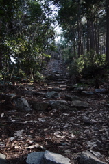 八幡神社への道