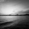 SEPARATED BY THE SEA