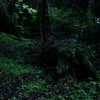 朽ちてはまた緑となる
