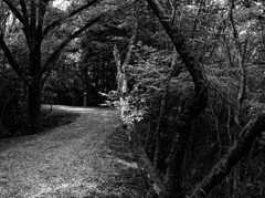 奥之院へと続く道 ～霊山寺～
