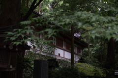 拝殿を飾る緑 Ⅱ