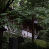 拝殿を飾る緑 Ⅱ