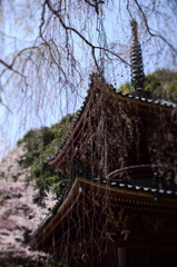 如意輪寺 Ⅲ