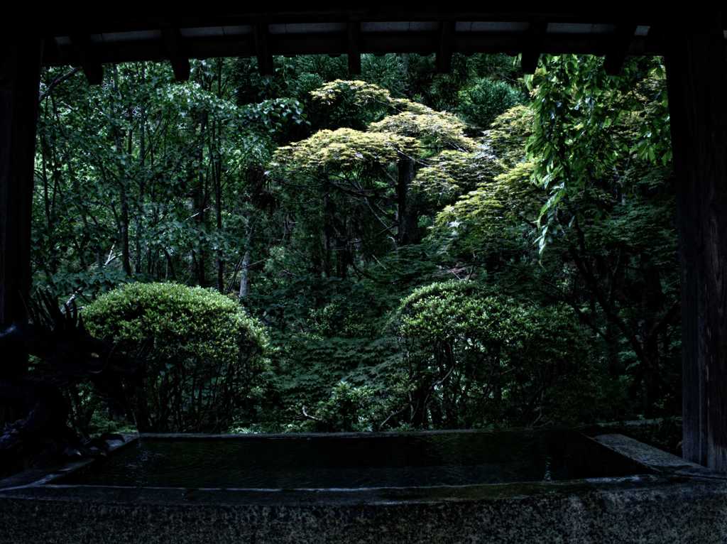 囲い叙景 ～霊山寺～
