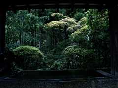 囲い叙景 ～霊山寺～