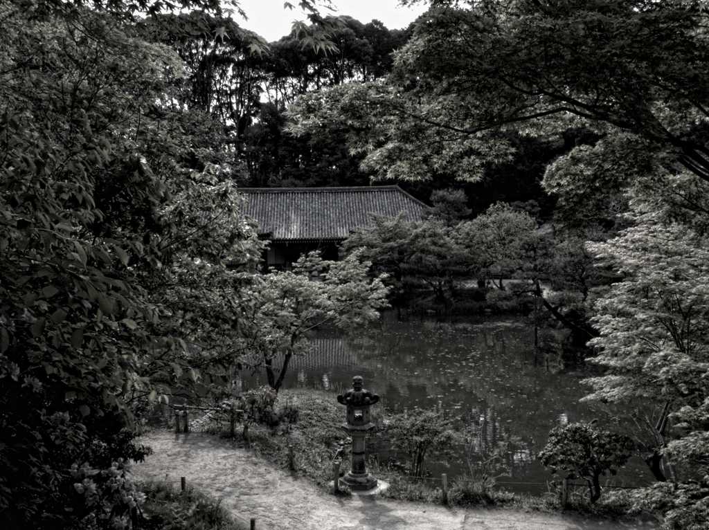 浄土の庭園　～浄瑠璃寺～
