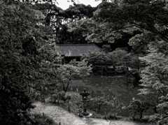 浄土の庭園　～浄瑠璃寺～